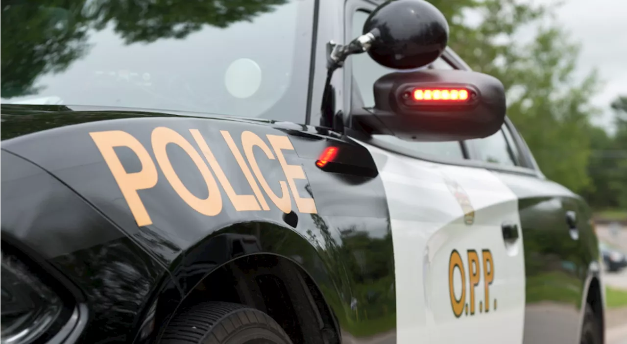 Montreal man charged for multi-vehicle crash after cattle spill onto Hwy. 401