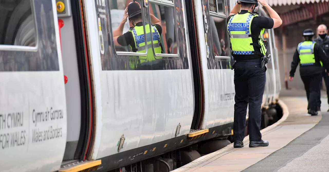 Two trains collide sparking major emergency service response