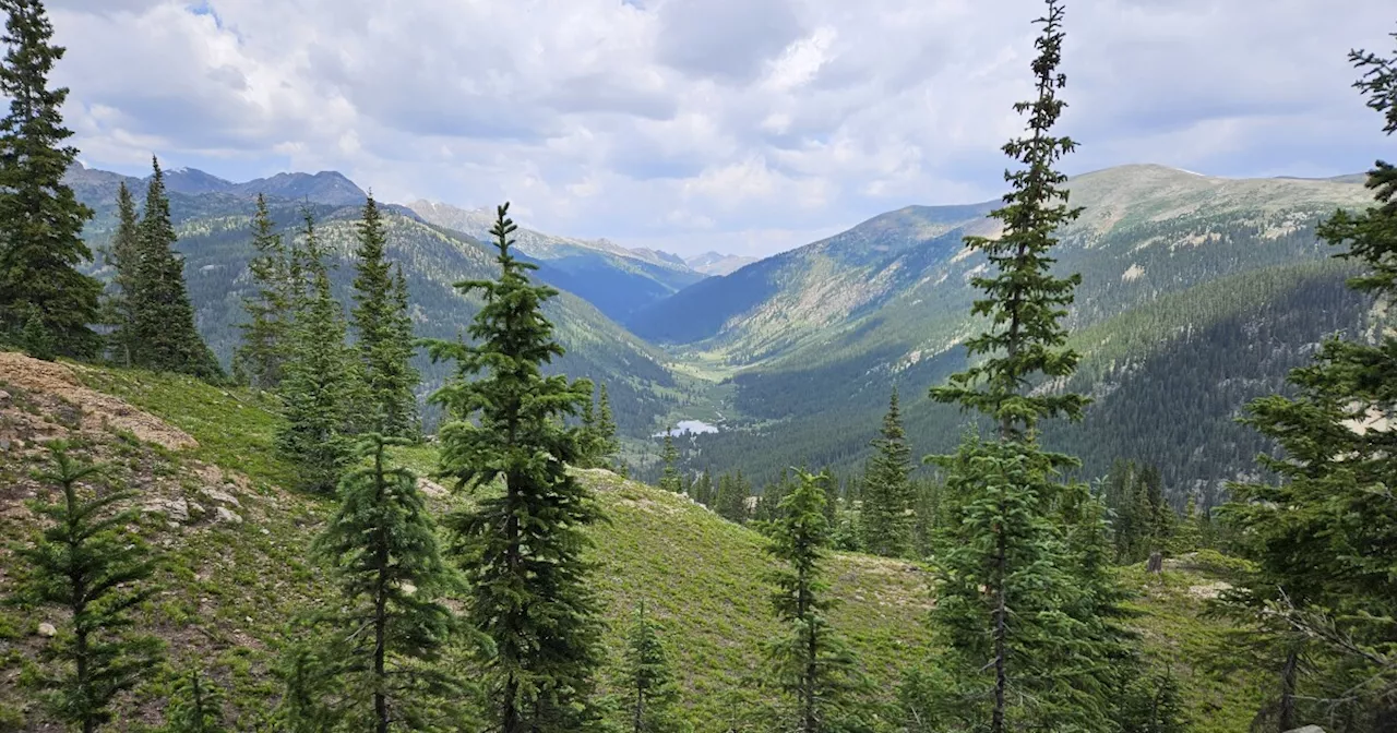 The Collegiate Peaks Wilderness northwest of Buena Vista just got an additional 19 acres of land