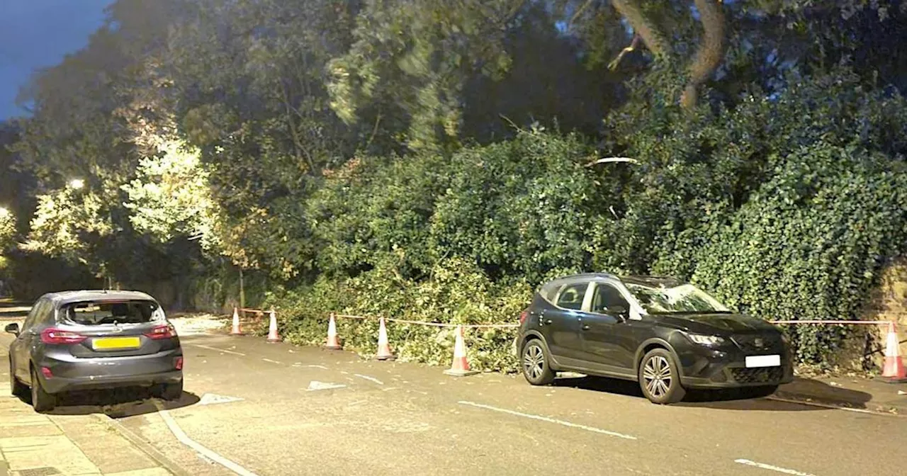 Fallen trees and damaged cars after Storm Ashley hits Merseyside