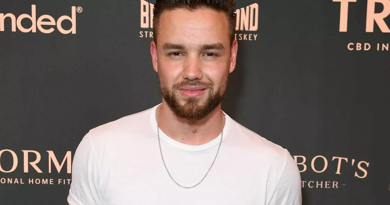 Liam Payne's net worth and fortune he promised to son Bear