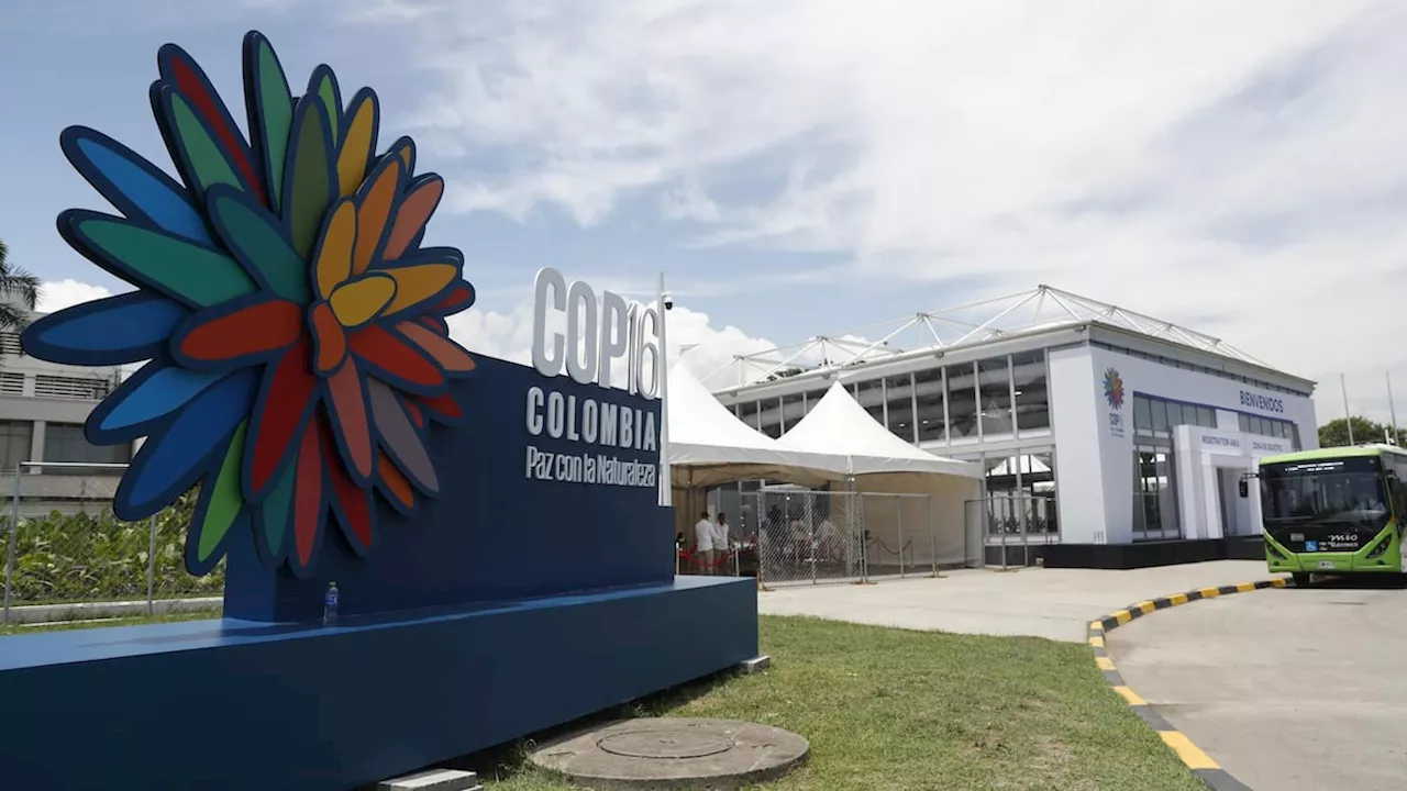 COP16: “Put your money where your mouth is” | Columna de Ricardo Plata Cepeda