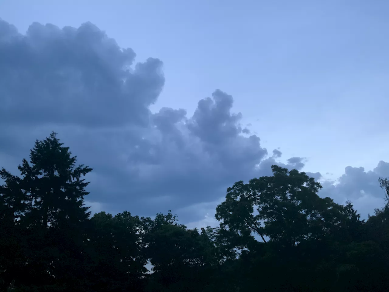 Geschichtsunterricht; Einstimmung auf Schwürkis-Blau.