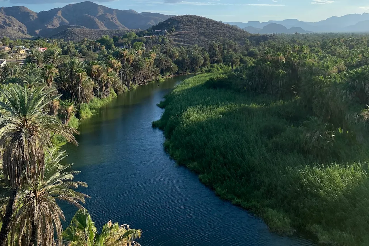 My epic cycling trip through the Baja peninsula