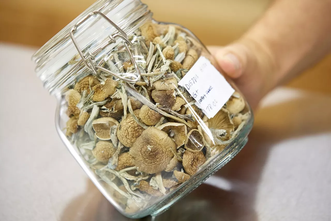 Quebec-based religion wants Health Canada’s blessing to use magic mushrooms in ceremonies