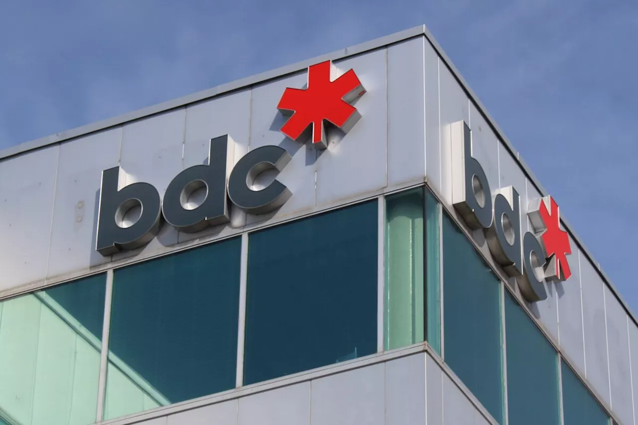 Rising costs remain among key concerns for Canadian businesses, BDC report says