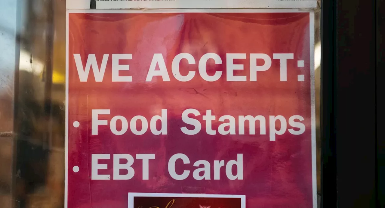 New Yorkers still face delays in receiving cash and food assistance, report shows