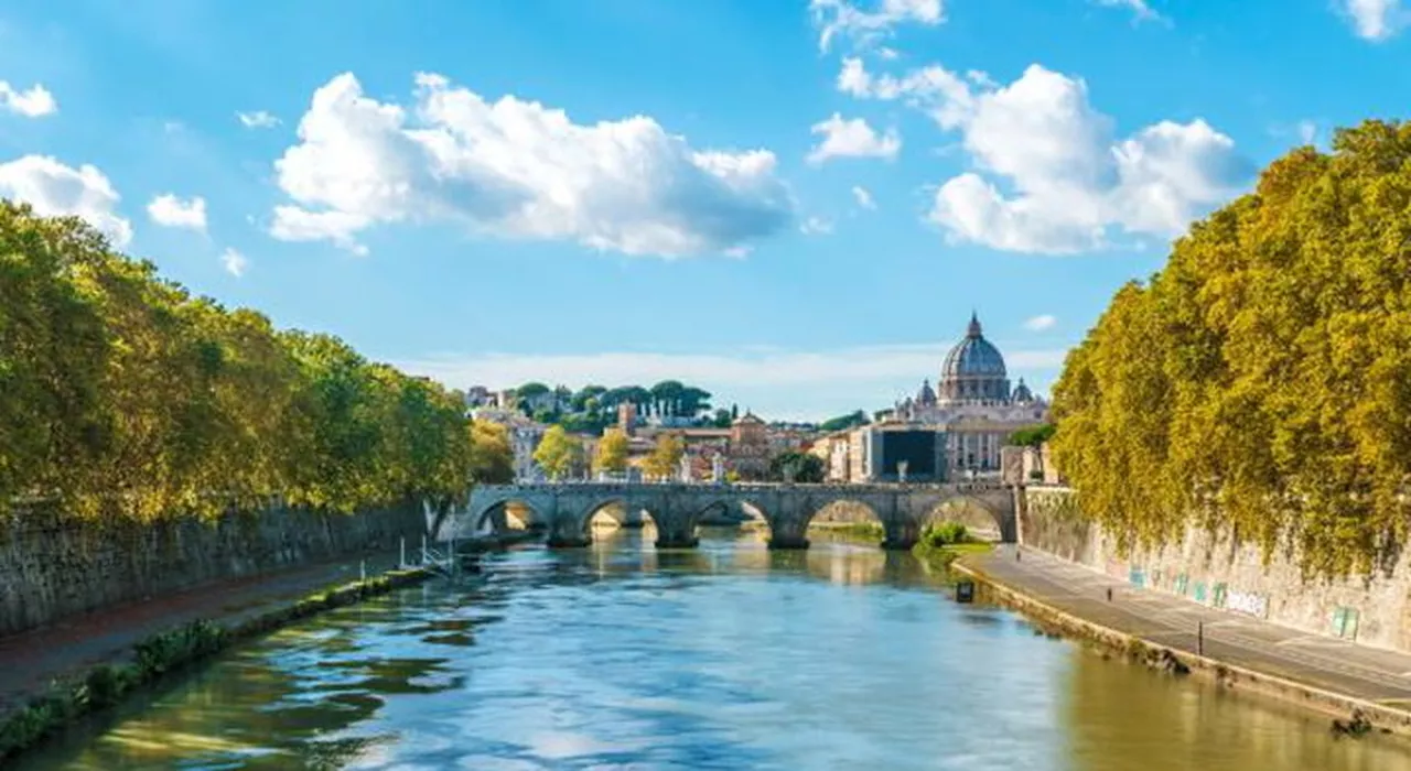 Roma, questi alberi hanno oltre 130 anni e hanno superato due guerre mondiali: la storia