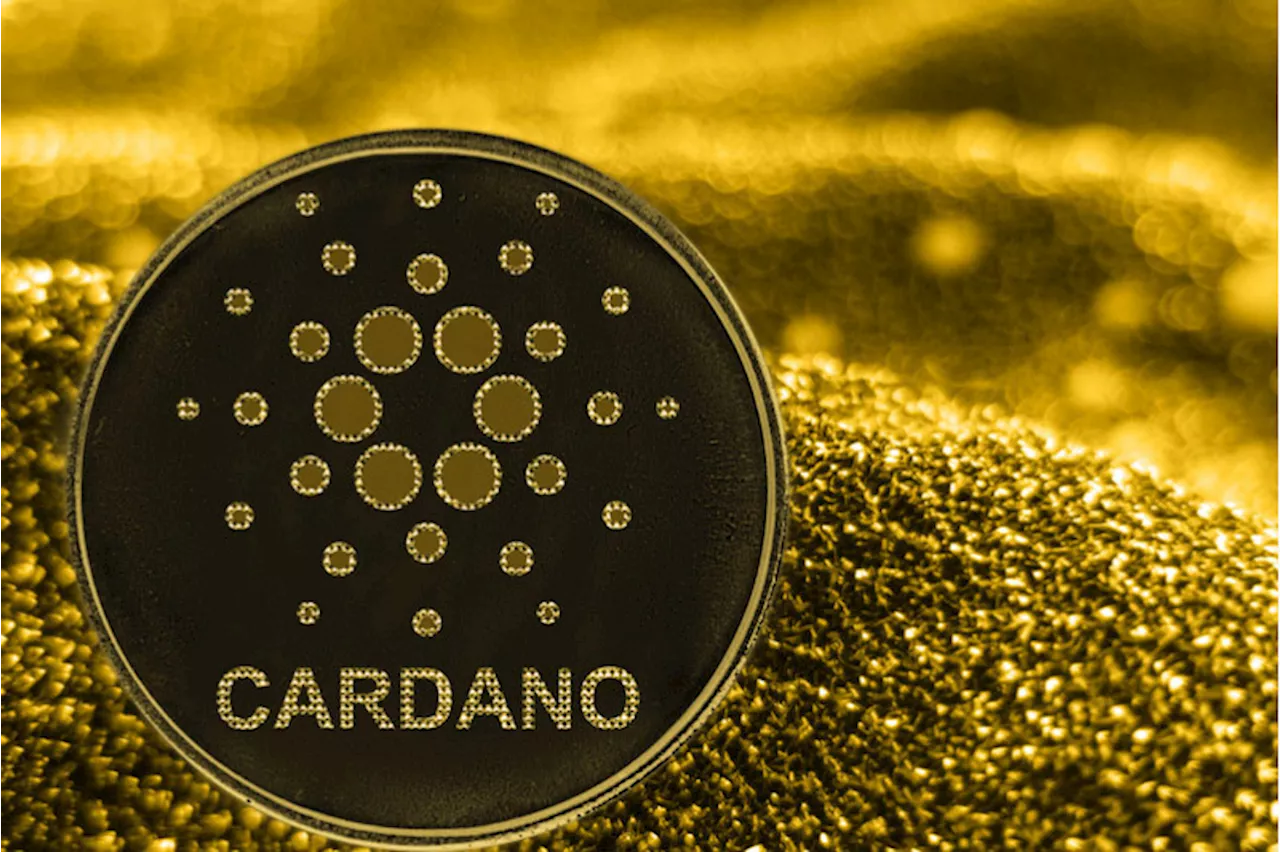 Cardano hat Anschluss verloren: Visionen allein reichen nicht aus