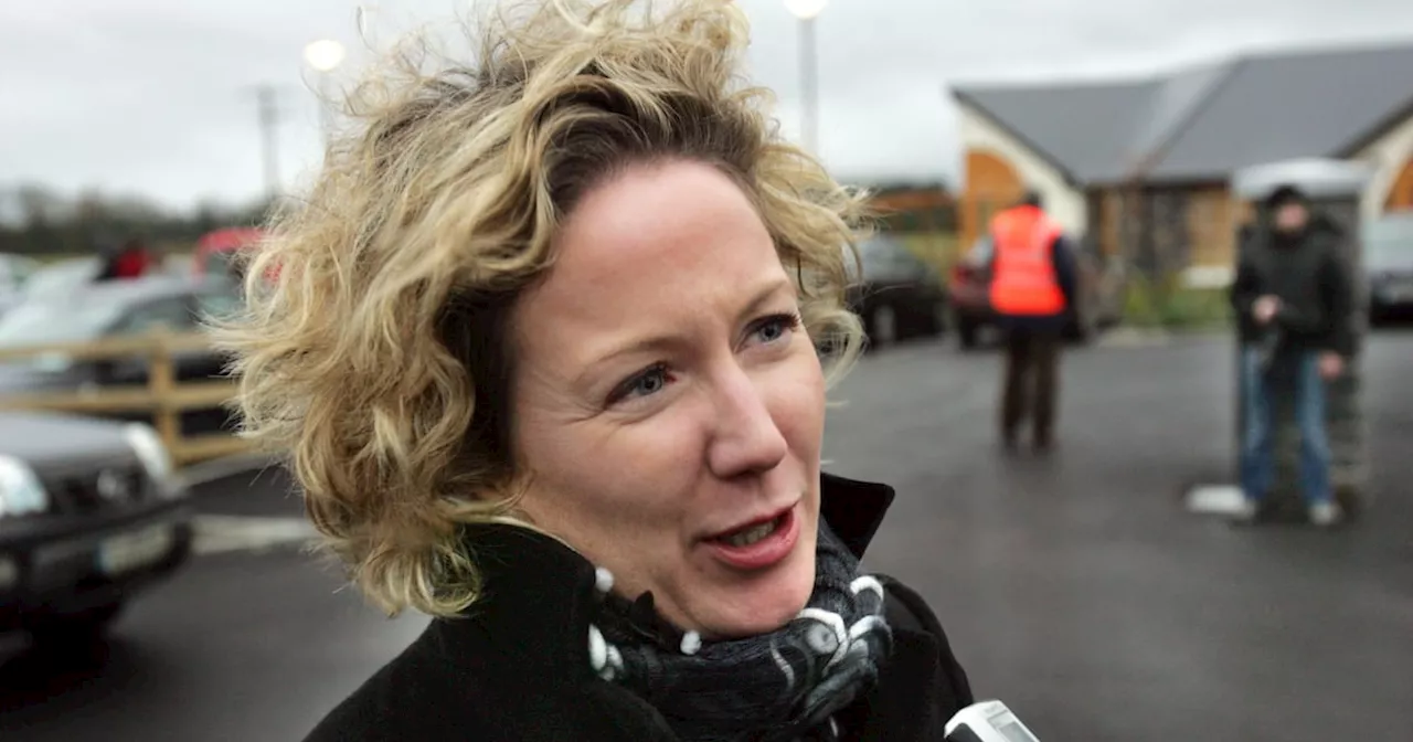 Olwyn Enright steps into key Fine Gael role as husband exits public life