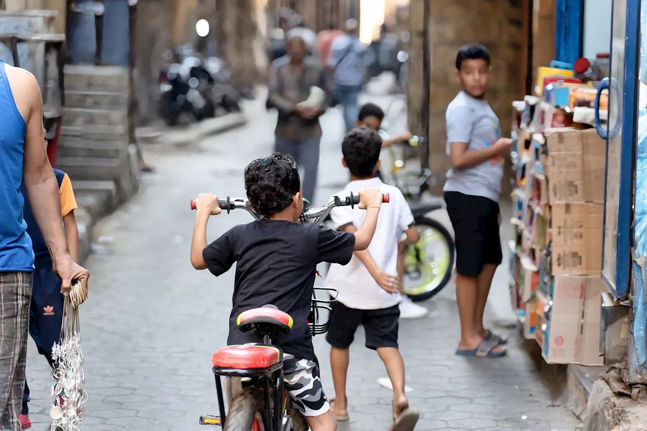 Égypte : après un siècle de lutte, le paludisme éradiqué