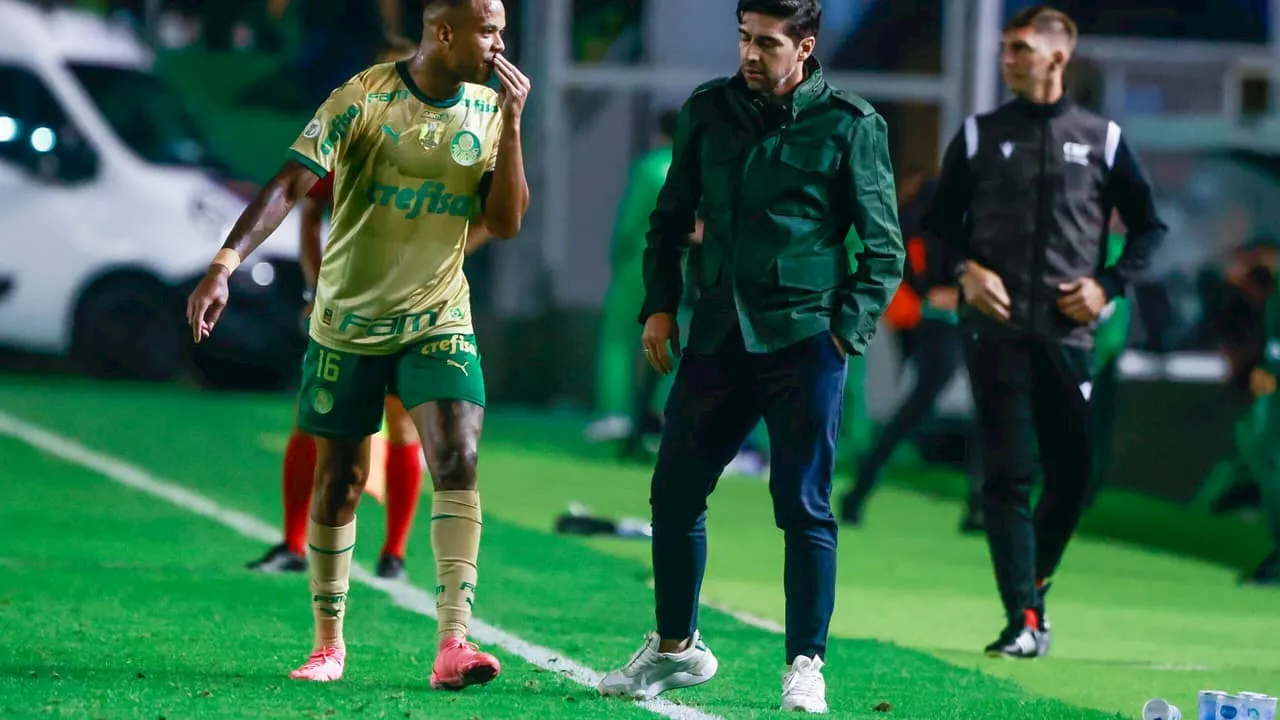 Abel evita projetar briga do Palmeiras pelo título e elogia Botafogo