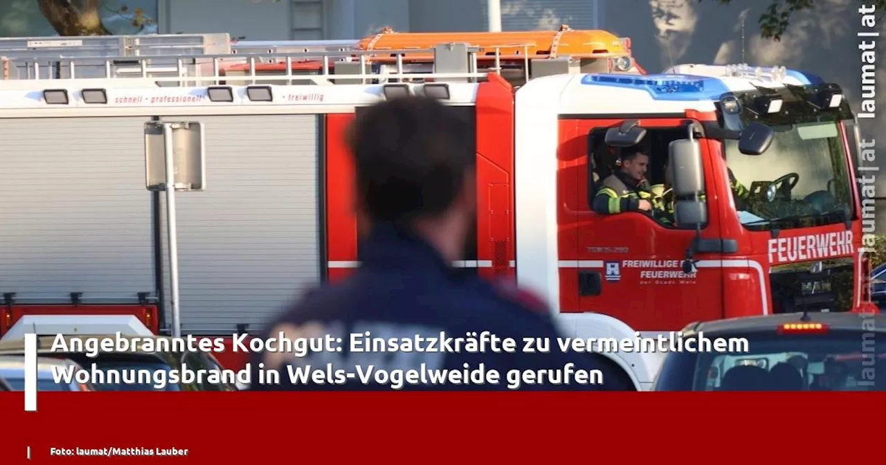 Angebranntes Kochgut: Einsatzkr�fte zu vermeintlichem Wohnungsbrand in Wels-Vogelweide gerufen