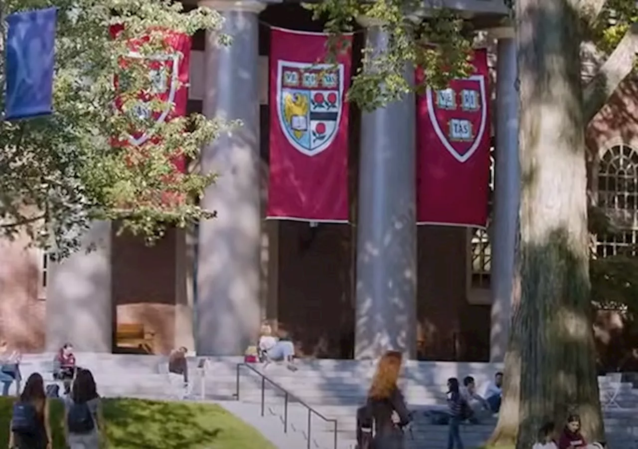 Harvard Faculty and Law Students Hold Silent Anti-Israel Protests in Campus Libraries