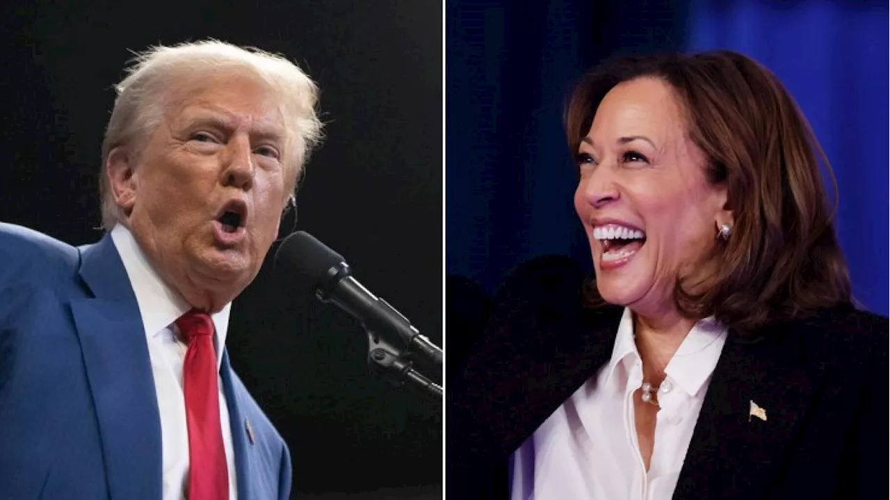 Trump vs Harris : pourquoi les bookmakers ont des prédictions bien différentes des sondages