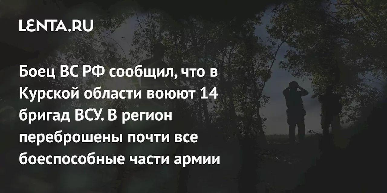 В Курской области воюют 14 бригад ВСУ