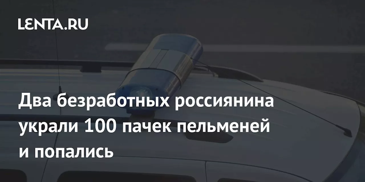 Два безработных россиянина украли 100 пачек пельменей и попались