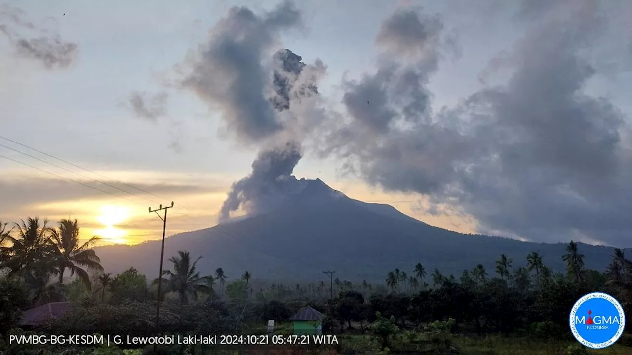 Gunung Lewotobi Laki-Laki Masih Bergejolak, Semburkan Abu Vulkanik Setinggi 1 Km