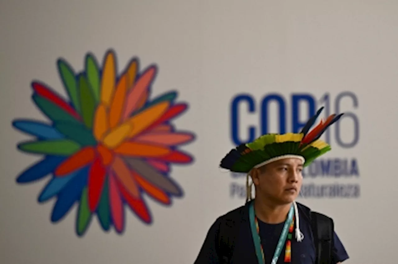 Biodiversity at a crossroads: Key discussions set to shape nature’s future at COP16 in Colombia