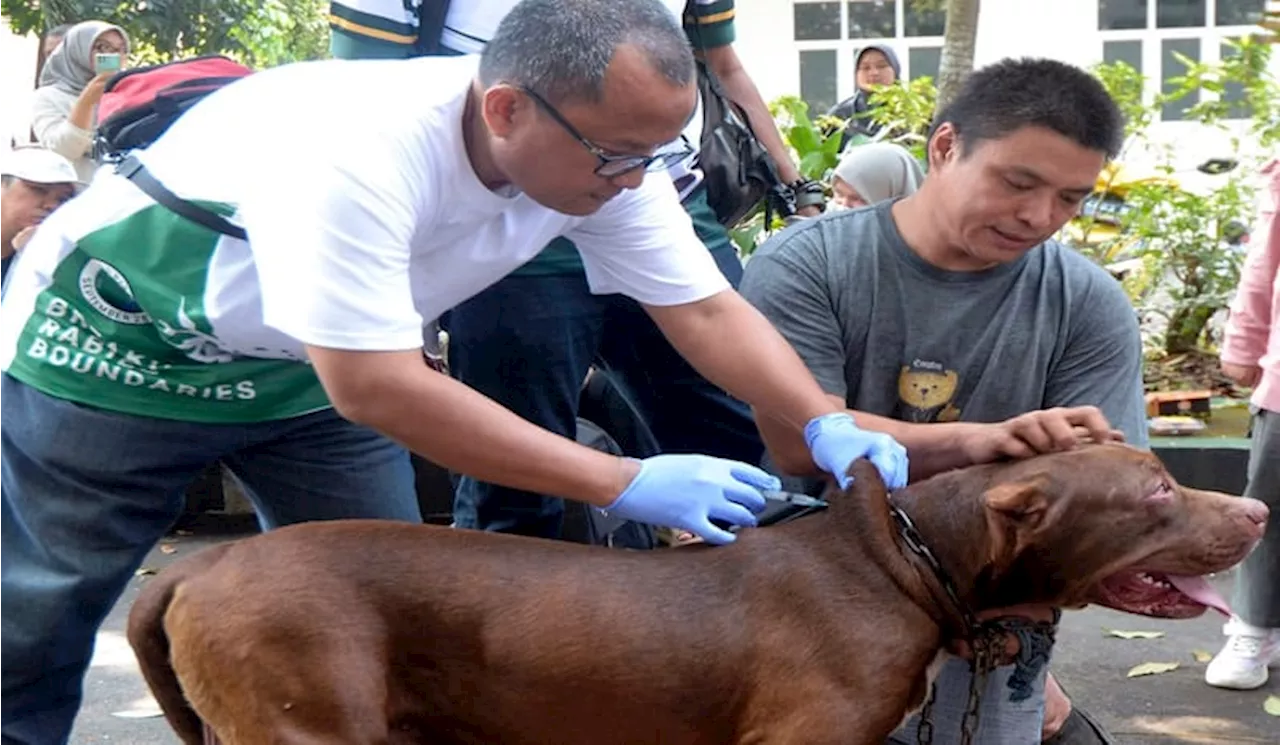 25 Cabang Perhimpunan Dokter Hewan Indonesia Terima Donasi 55 Ribu Vaksin Rabies