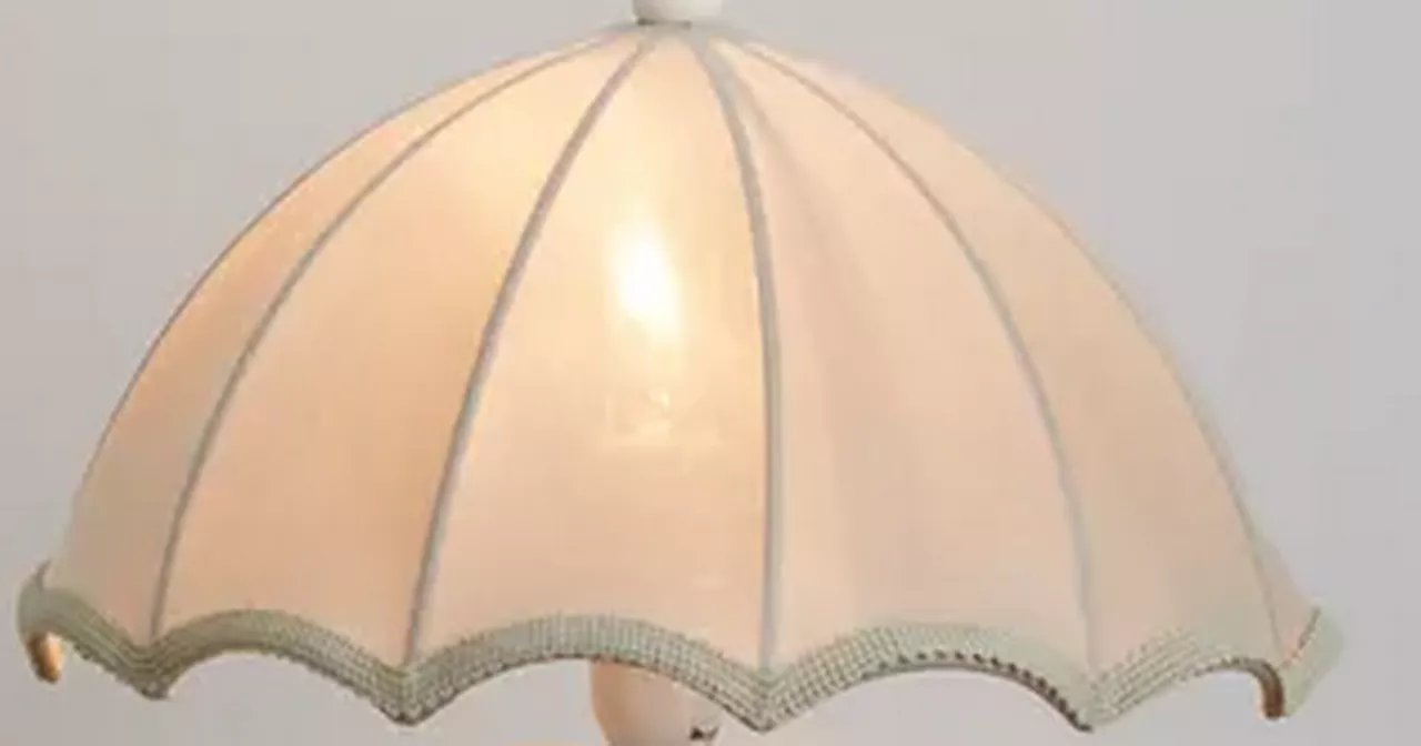 Dunelm's 'quirky' £32 lamp that makes people smile 'every time' they look at it