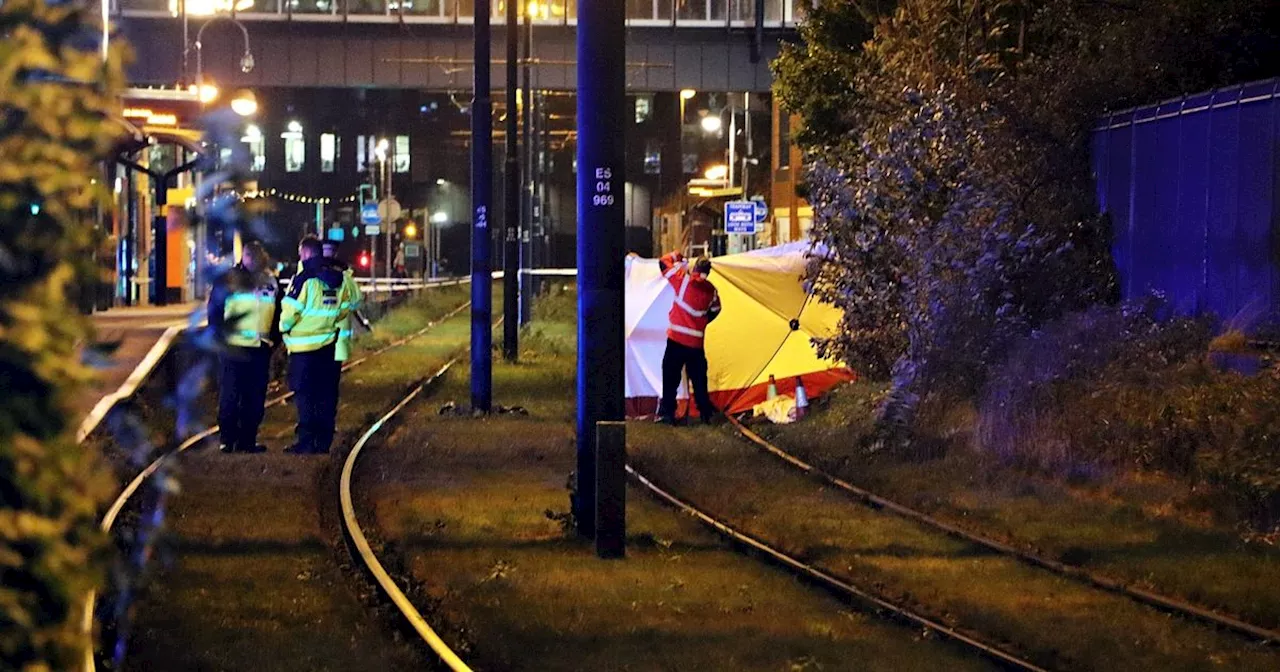 Man dies after 'collapsing onto tracks' and being hit by tram