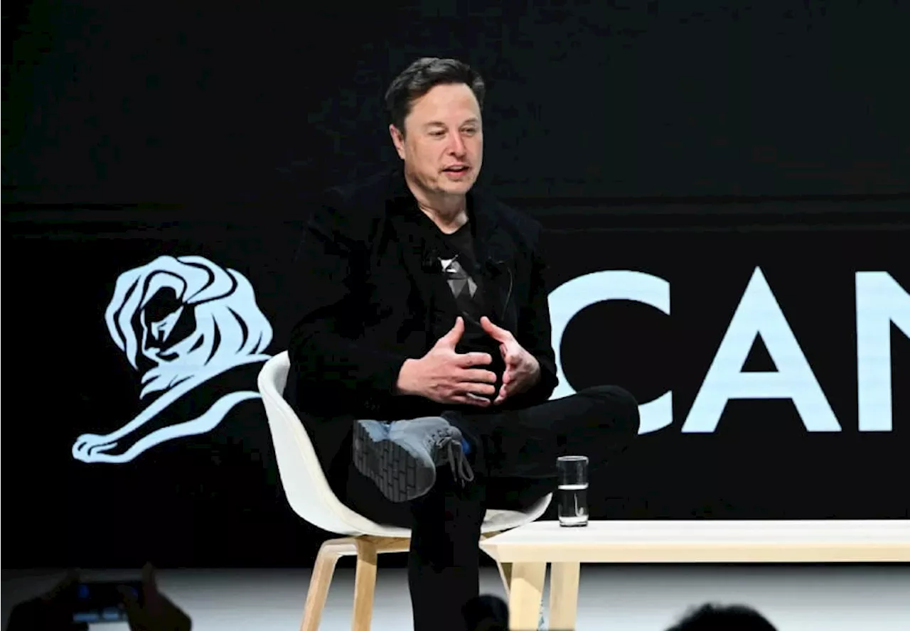 Elecciones 2024: Elon Musk, en problemas por ofrecer premios de 1 millón de dólares