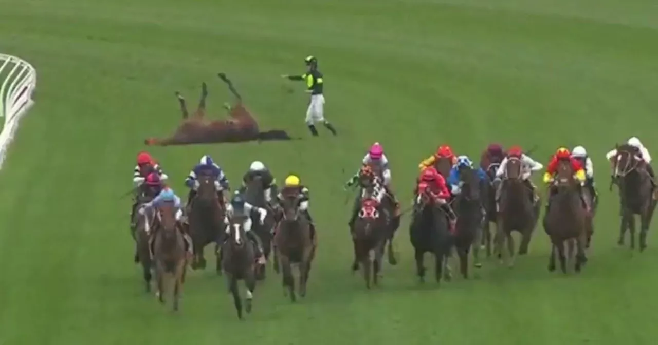 Jockey rushes to comfort distressed horse on track after suffering serious injury