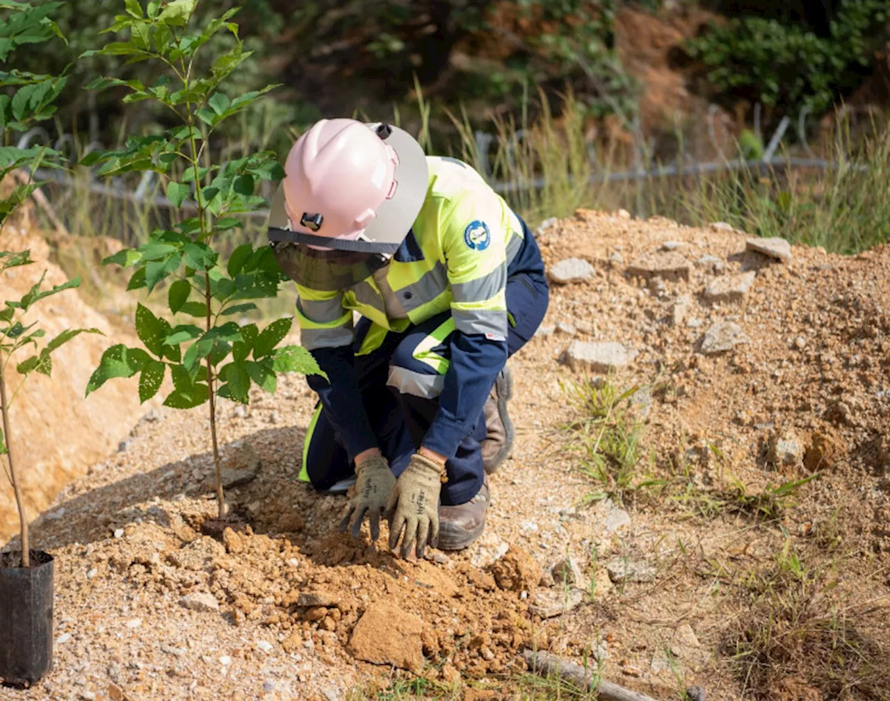 Endeavour Silver shares rise as Terronera surpasses the 77% completion mark