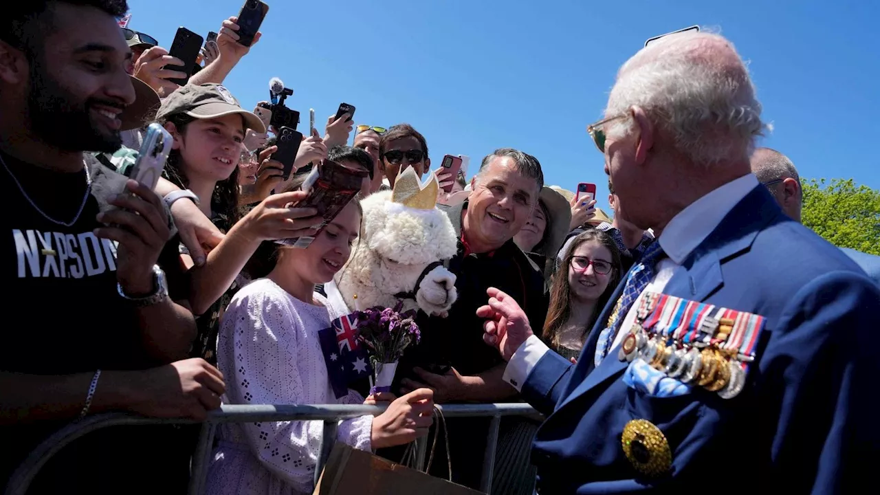 König Charles wird beim Besuch in Australien von einem goldenen Alpaka niesst