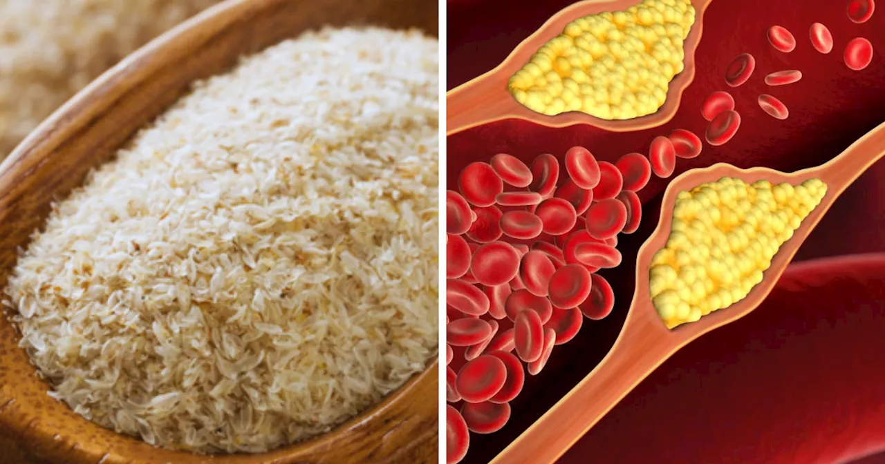 Isabgol For Cholesterol: बढ़े हुए कोलेस्ट्रॉल को कम कर सकती है इसबगोल की भूसी, इस तरह करें सेवन