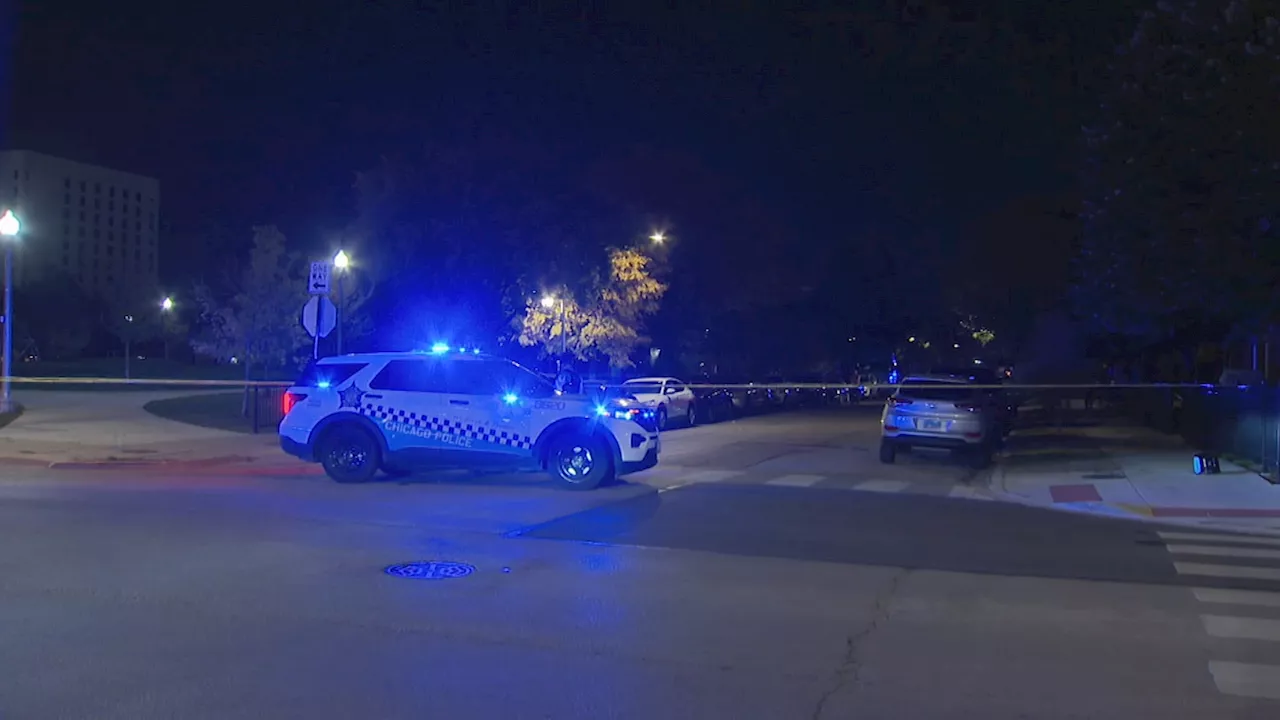 3 teens shot, violently robbed steps from United Center before concert