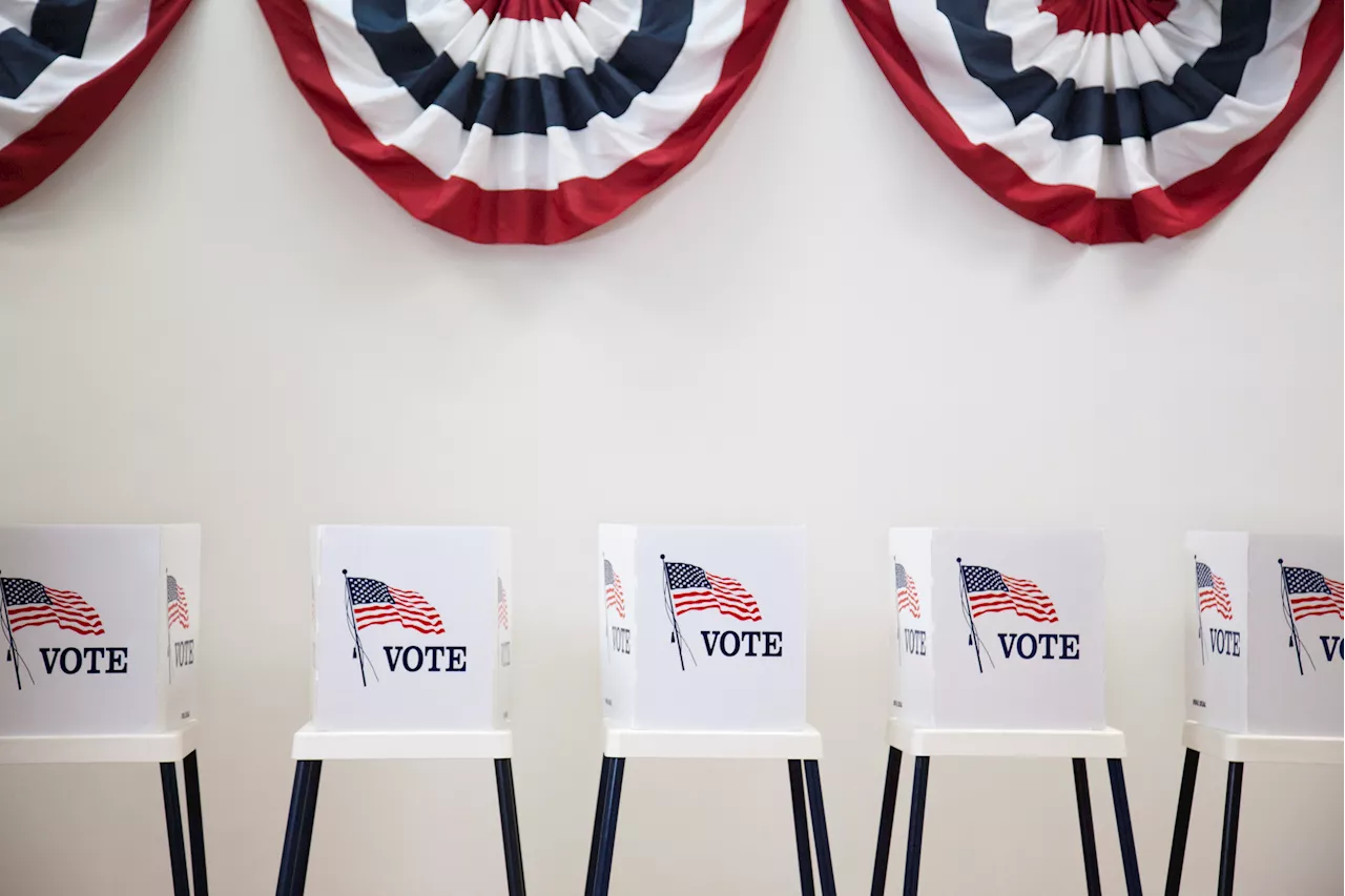 Early voting in Illinois expands to dozens of locations across Chicago, suburbs