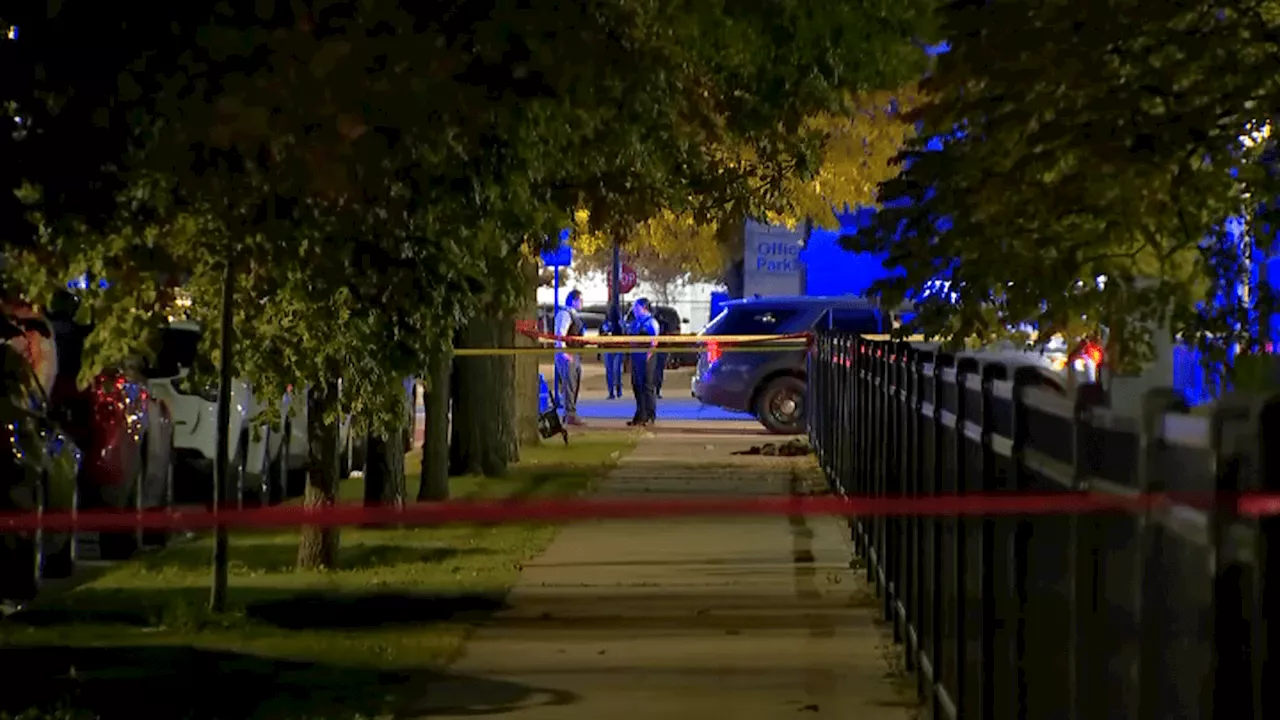 Suburban teen dies after being shot while heading to concert at Chicago's United Center