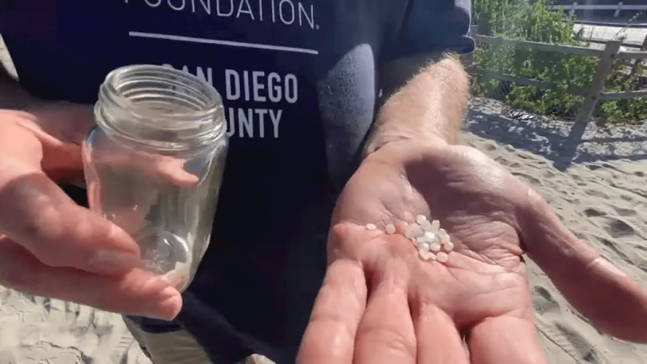 Plastic nurdles (yes, nurdles) littering San Diego County beaches