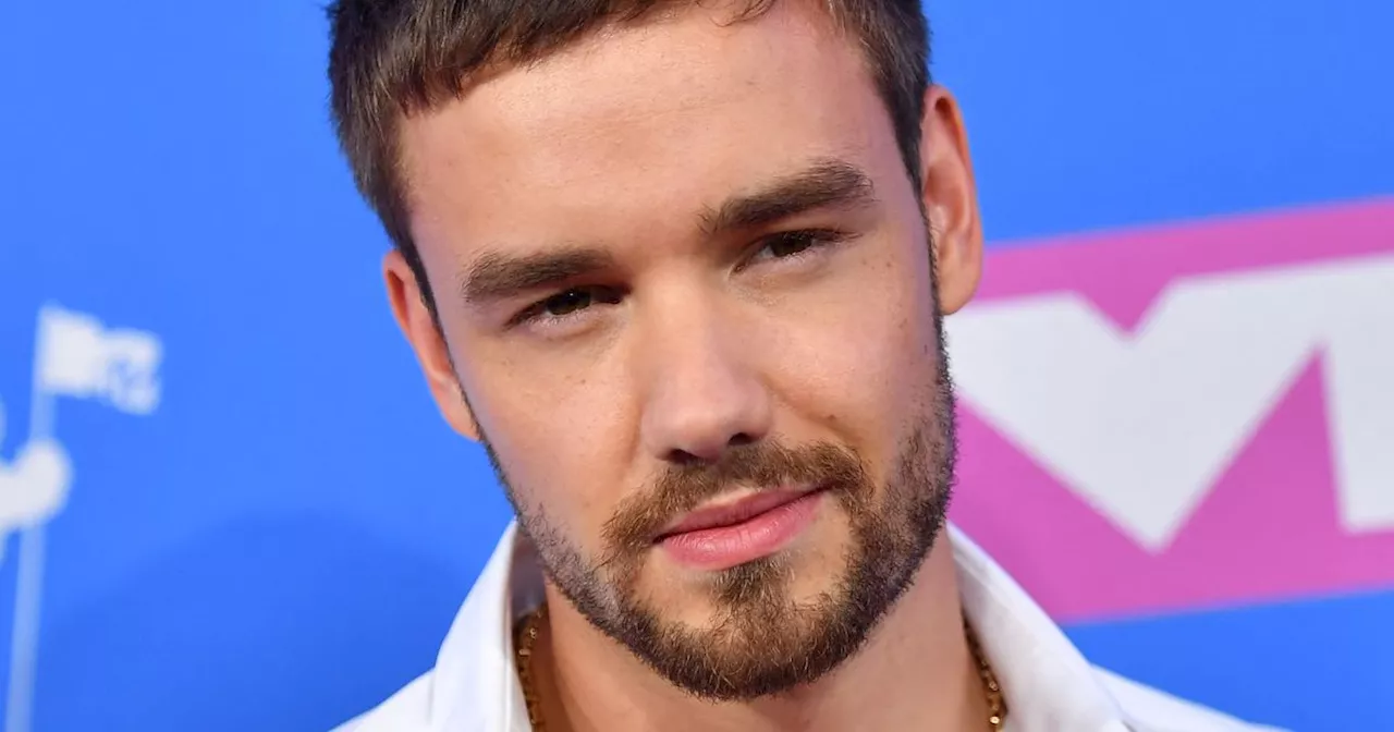 Liam Payne was 'completely clean' in visa tests before he died, says pal