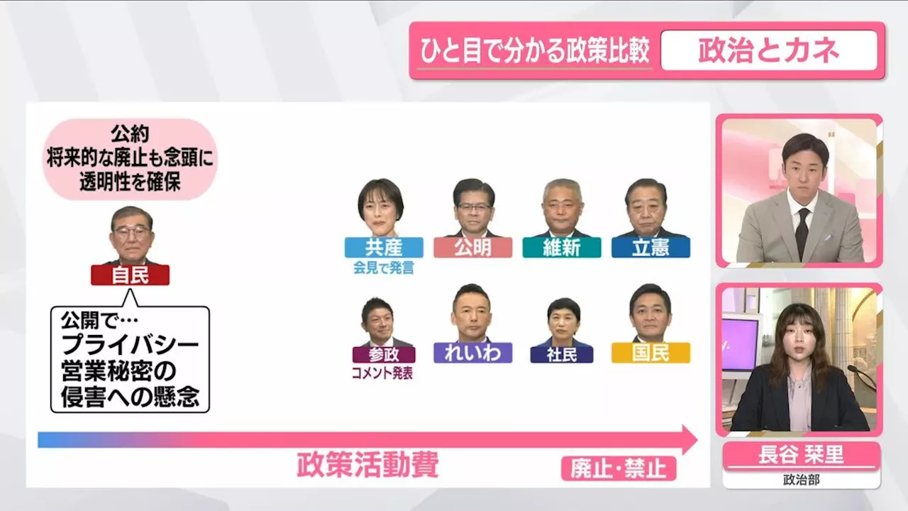 【ひと目で分かる政策比較】「政治とカネ」めぐる各党の公約は？｜日テレNEWS NNN