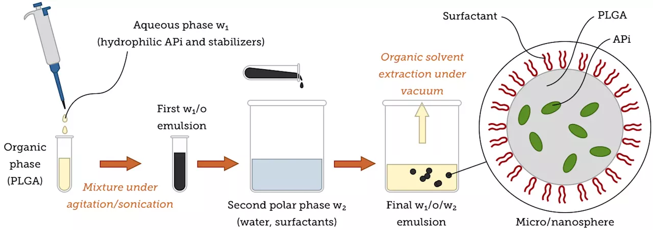 What are the medical applications of PLGA nanoparticles?