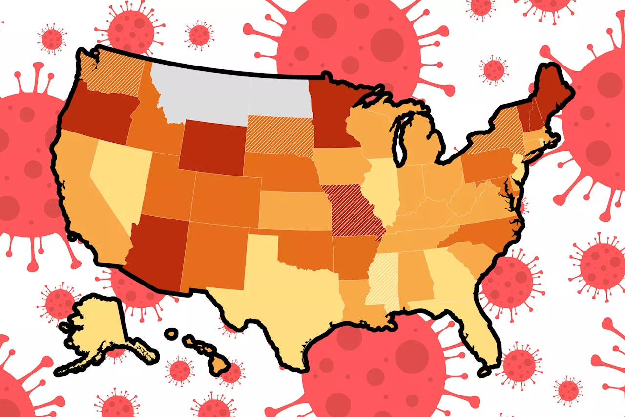 COVID Map Update: US States With 'High' Wastewater Viral Activity Revealed