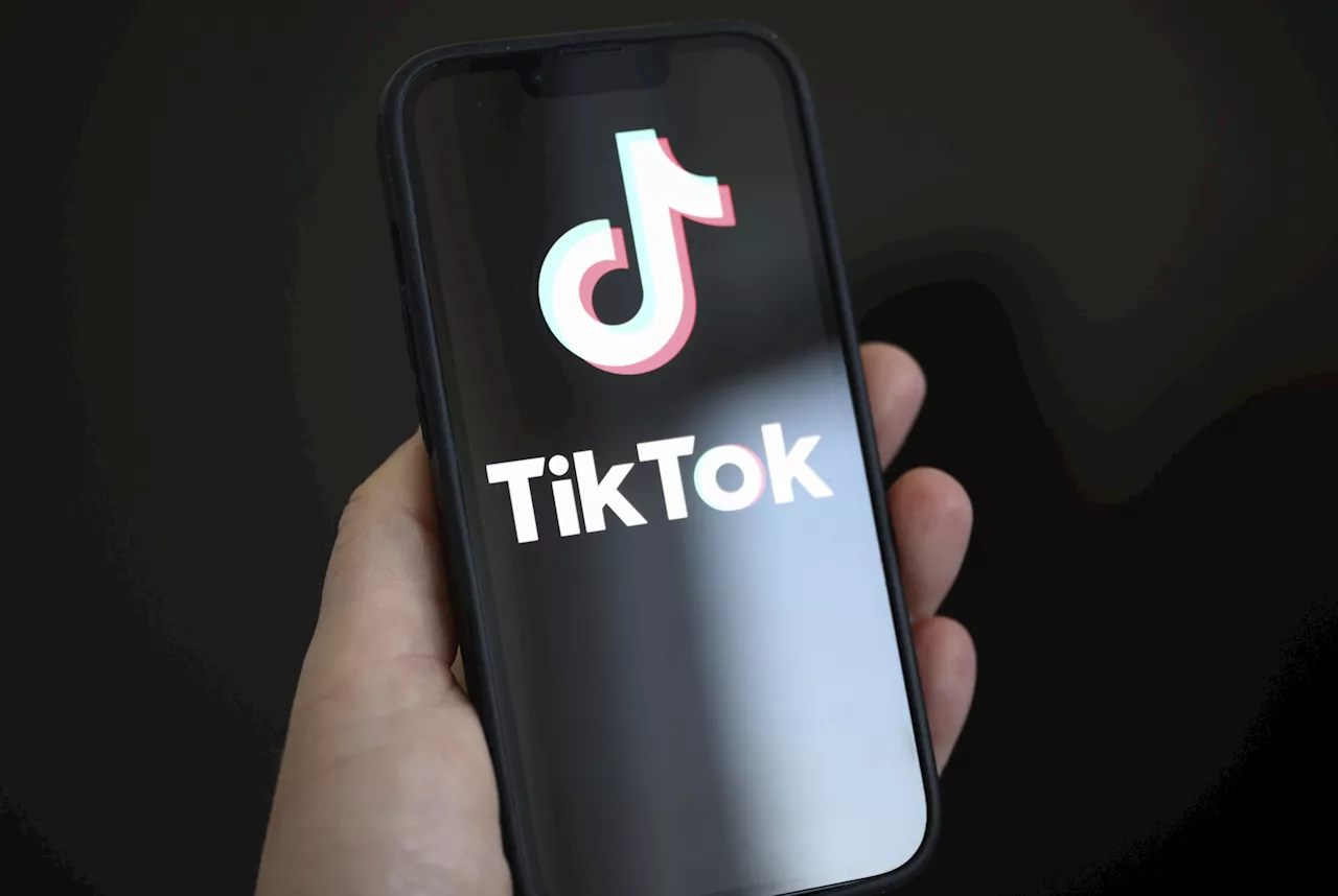 Judge Suspended After Accusations of Explicit TikToks Filmed in Courthouse