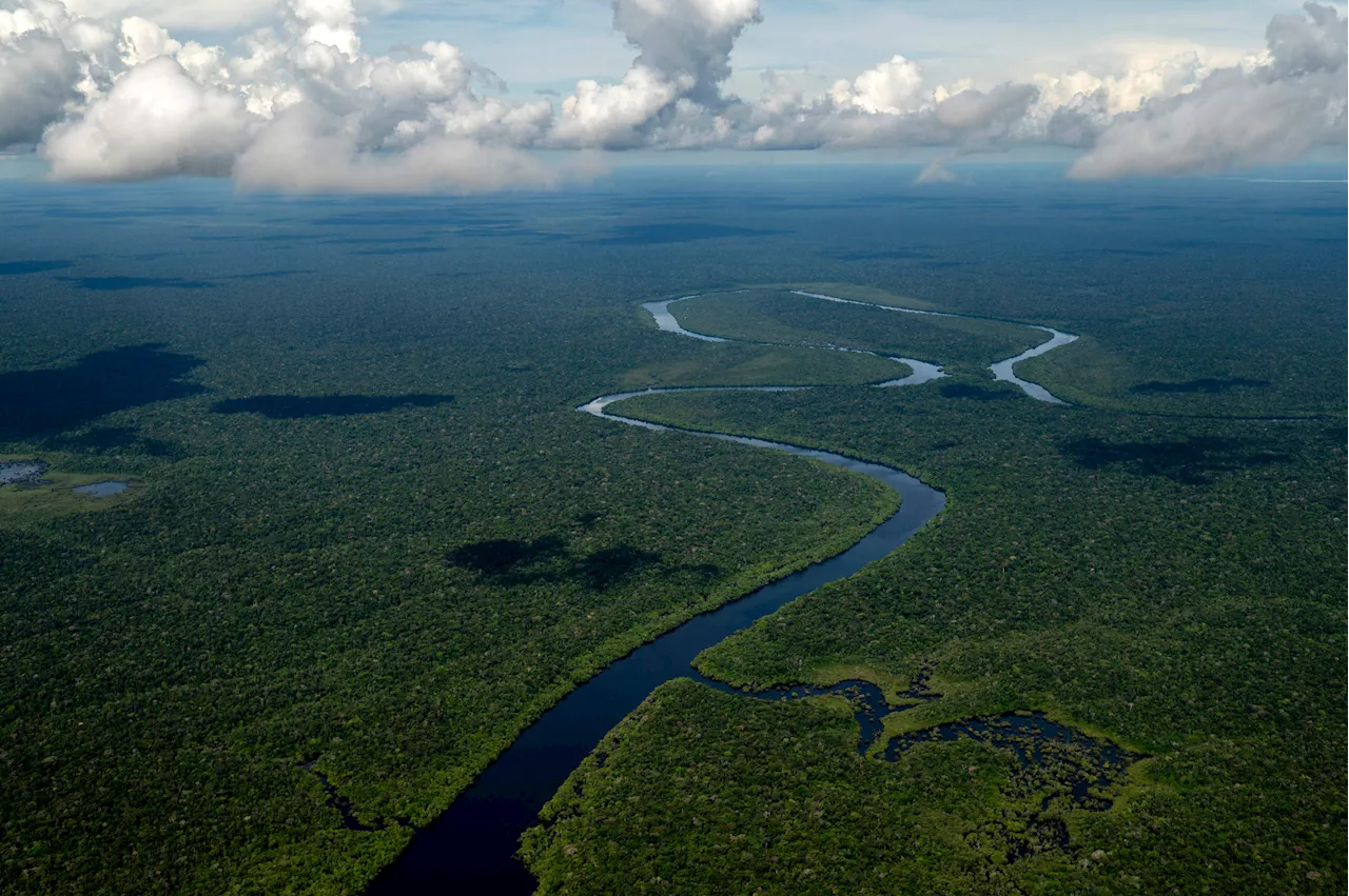 Lost City Discovered in Amazon Rainforest