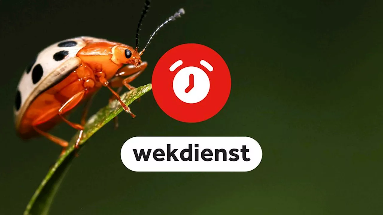 Wekdienst 21/10: Landen praten over biodiversiteit • Uitspraak tegen FVD-kamerlid