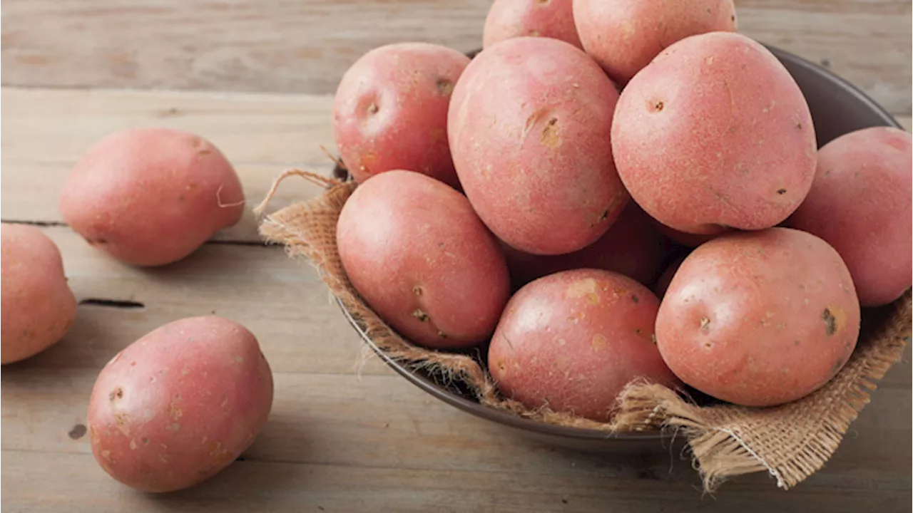 Pronti a mangiare la “patata d’oro”? E’ super nutriente