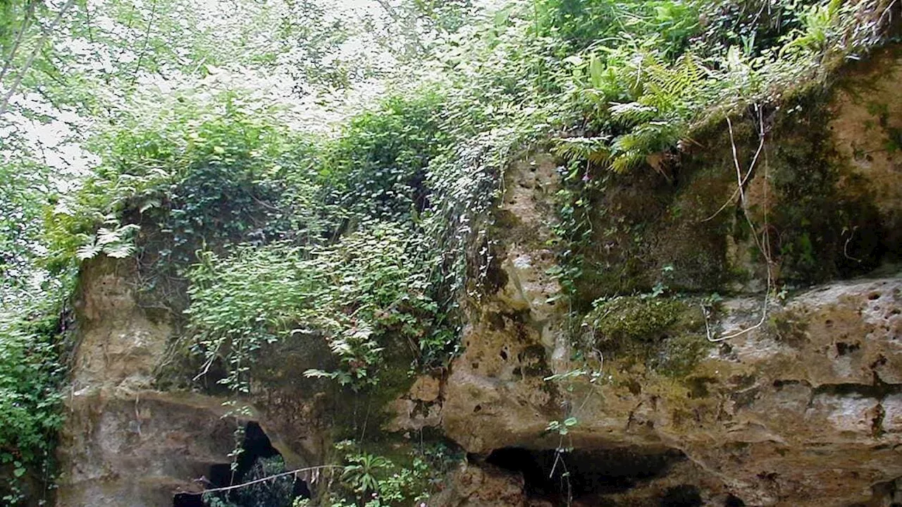 Découvrez une des plus anciennes grottes ornées du monde, une curiosité enfouie en Gironde