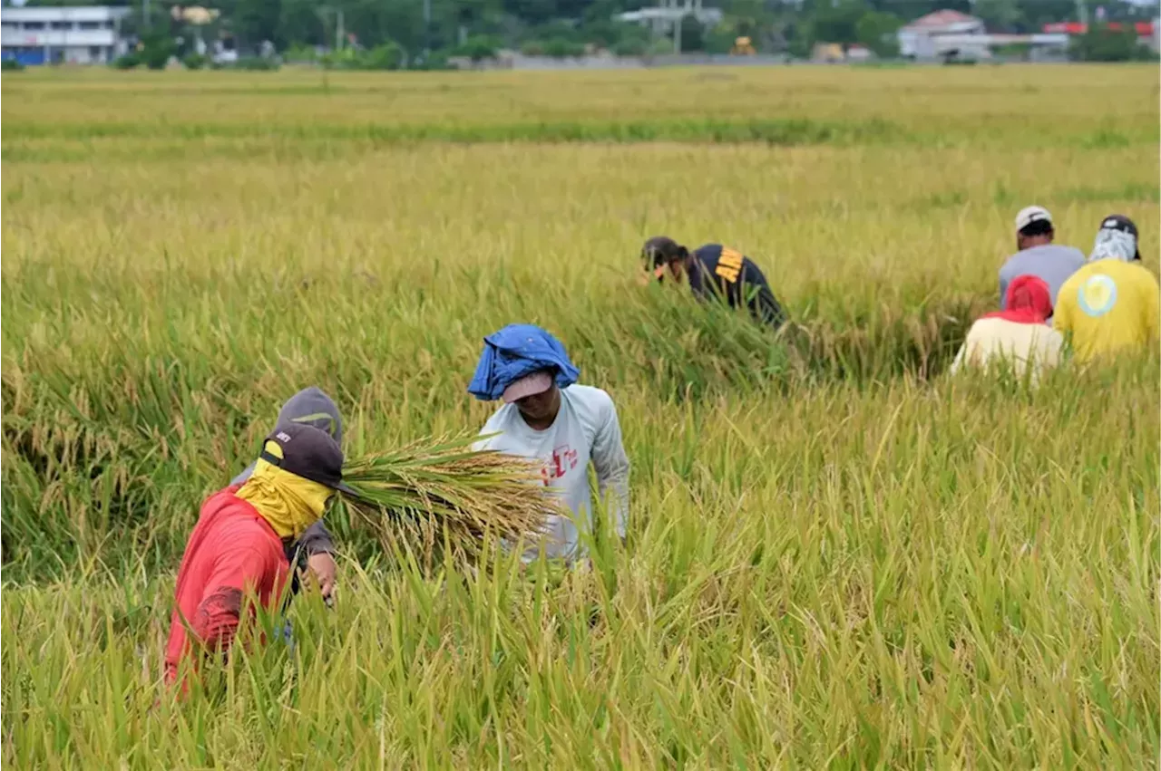 Ilocos Region wage board increases daily minimum wage by P33