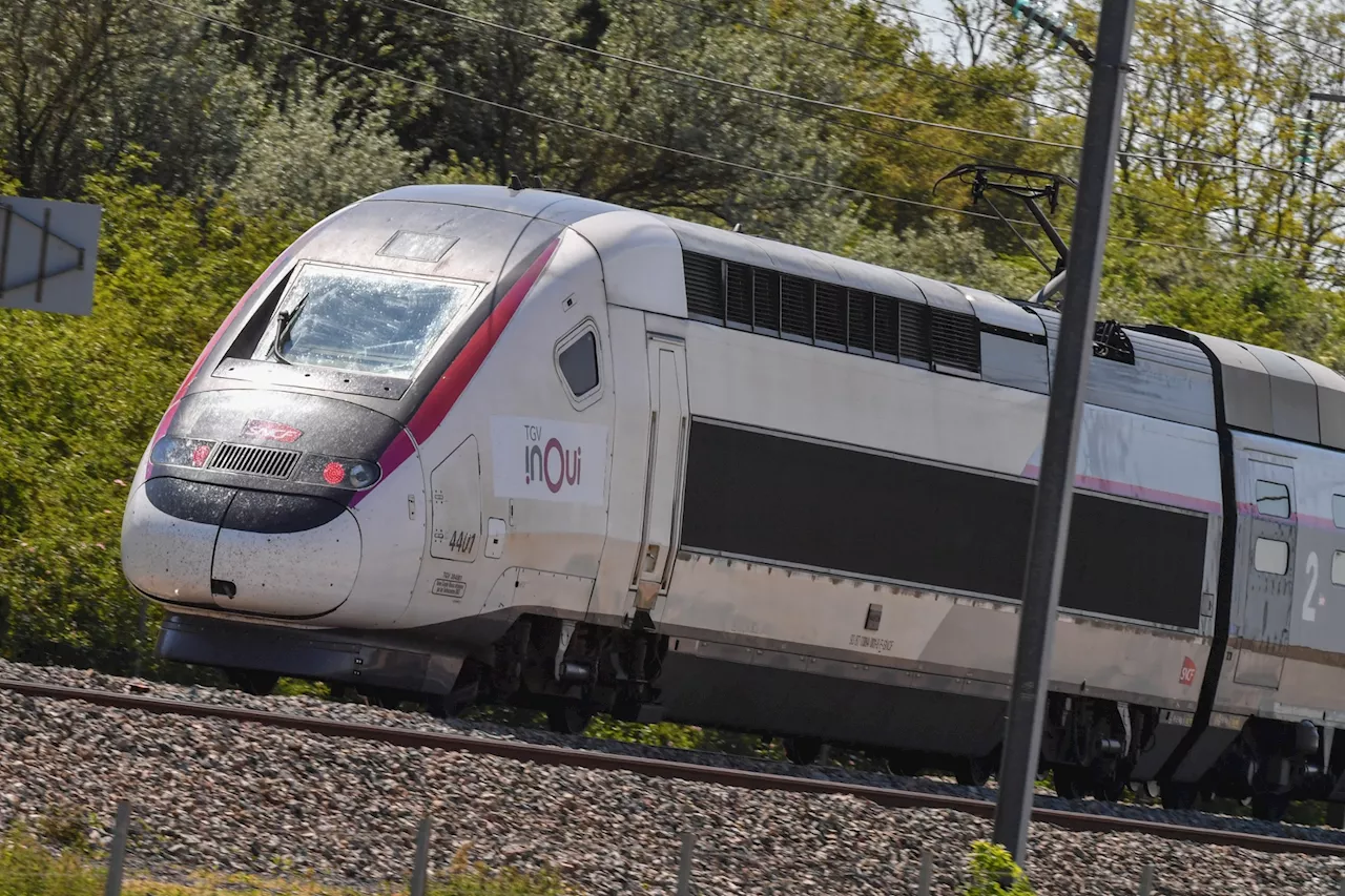 SNCF : pourquoi vous risquez de croiser des crocodiles si vous prenez le train