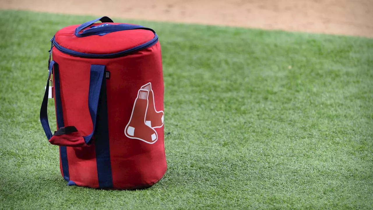 Red Sox Reportedly Poach Young Rays Executive For High-Ranking Analytics Role