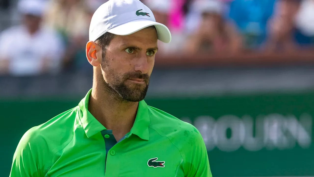 Tennis Fans Roast Novak Djokovic's Lacoste Shirt for ATP Finals