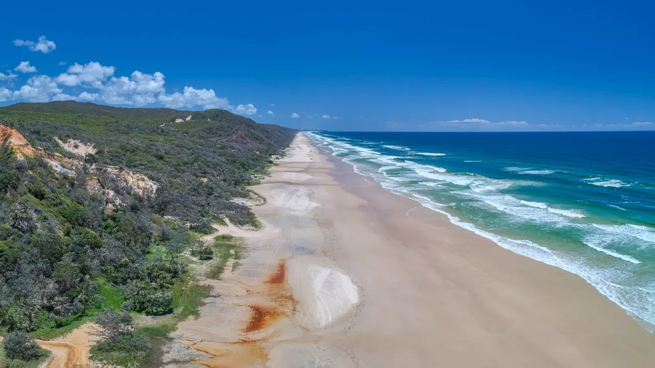 Another tourist suffers dingo bite on K’gari