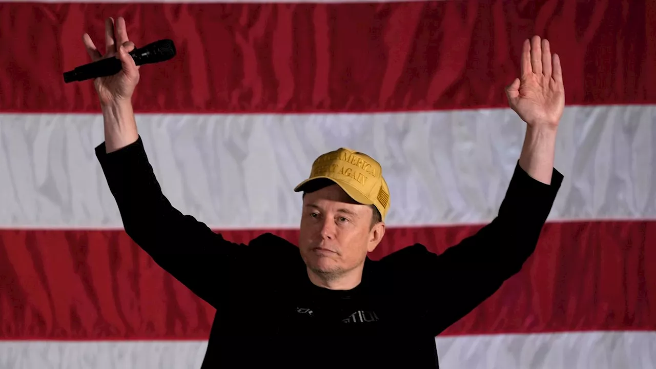 Elon Musk will US-Wählern Millionen schenken – unter einer Bedingung